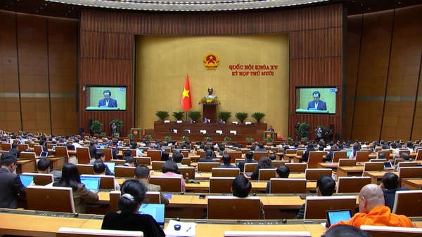 [Video] Tăng phân cấp, phân quyền trong lĩnh vực nông nghiệp và môi trường