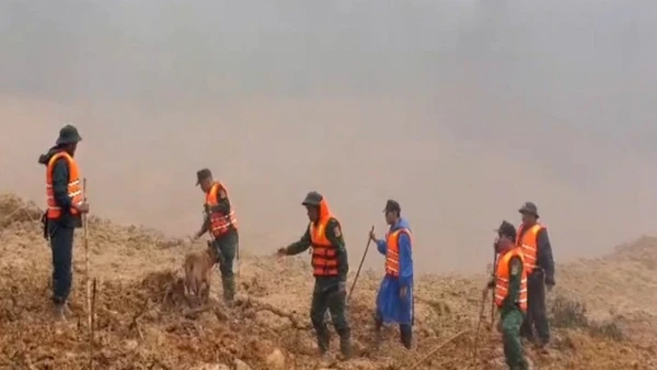 [Video] Huy động cảnh khuyển tìm kiếm các nạn nhân nghi mất tích do sạt lở 