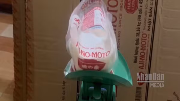 [Video] TP Hồ Chí Minh triệt phá đường dây sản xuất hơn 4 tấn bột ngọt giả nhãn hiệu Ajinomoto 