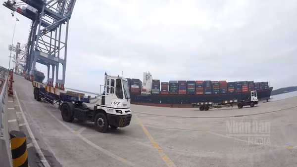 [Video] TP Hồ Chí Minh sắp ra mắt hệ sinh thái trung tâm tài chính hàng hải 