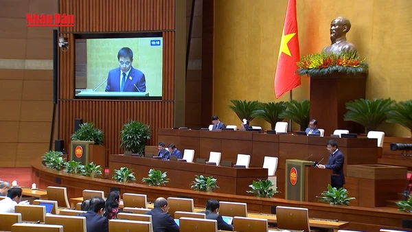 [Video] Sửa luật kinh doanh bảo hiểm: xây dựng thị trường phát triển an toàn, bền vững