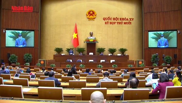 [Video] Tăng cường phân cấp, phân quyền, bảo đảm thực hiện tính đúng, tính đủ giá dịch vụ công