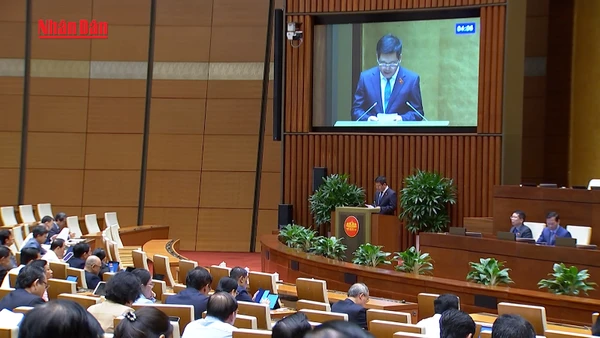 [Video] Tạo thuận lợi phát triển các mô hình thương mại điện tử mới