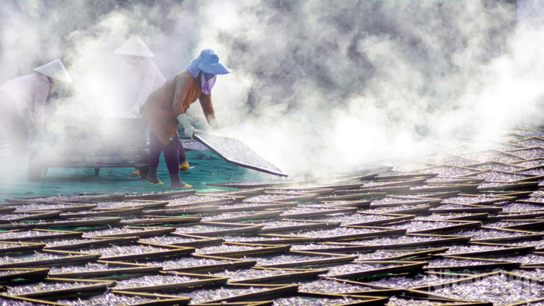 Hàng trăm lao động tại địa phương có việc làm, thu nhập ổn định tại các cơ sở hấp cá, đời sống được cải thiện nhiều. ndo_br_img-2439-3878.jpg
