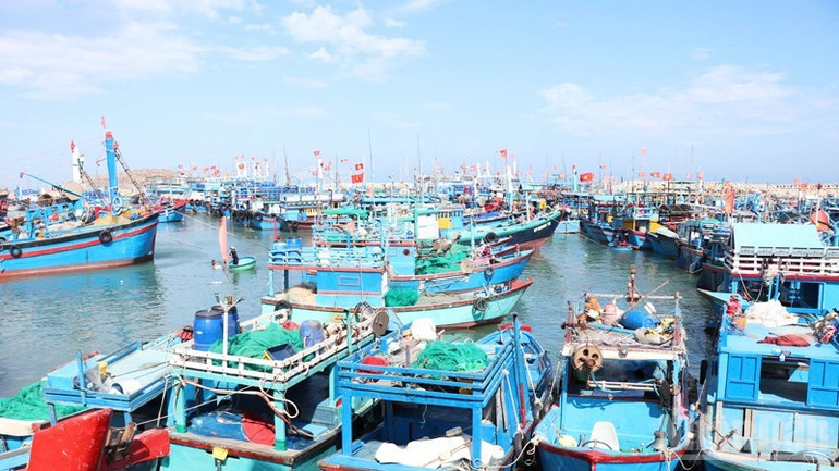 Không gian nhỏ hẹp của cảng cá Mỹ Tân, tỉnh Khánh Hòa đang quá tải bởi số lượng tàu cá của ngư dân neo đậu nhiều. ndo_br_1-5896.jpg