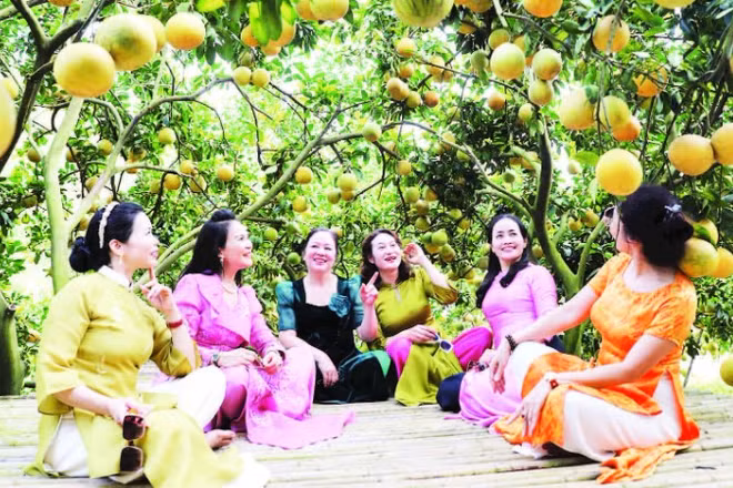1. Tổng số du khách đến Bắc Ninh năm 2025 ước đạt hơn 6 triệu người.