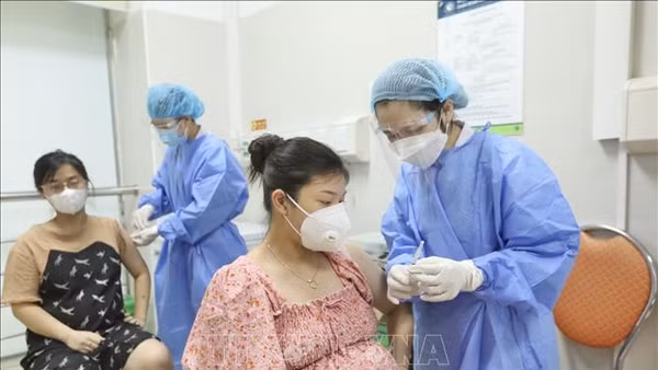 (Ảnh minh họa: TTXVN)