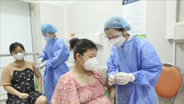 (Ảnh minh họa: TTXVN)