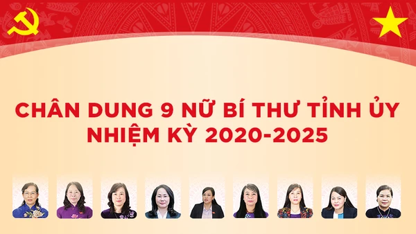 Chân dung chín nữ Bí thư Tỉnh ủy nhiệm kỳ 2020-2025