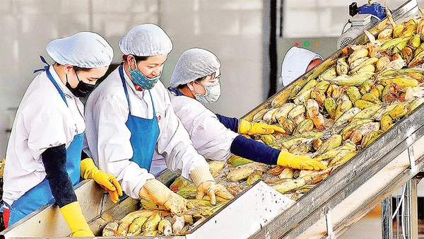 Các FTA được ký kết góp phần mở rộng cơ hội xuất khẩu cho nông sản Việt Nam. Ảnh: Ðức Thụy