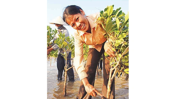 Người dân "chiến đấu" với những con hà giúp cây tăng trưởng. Ảnh: GCF