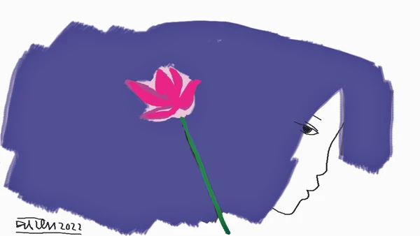 Bông sen vừa nở