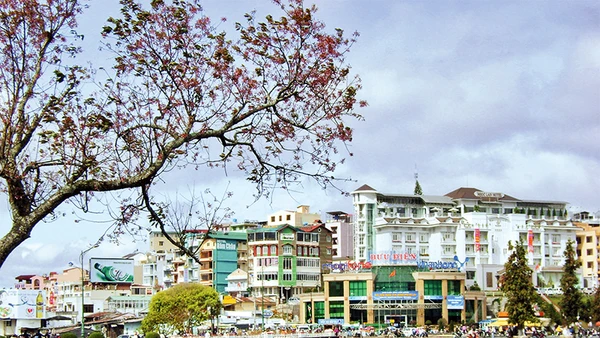 Ảnh trong bài: Hài hòa giữa bảo tồn và phát triển là bài toán cần cân nhắc thận trọng để Đà Lạt phát triển bền vững.