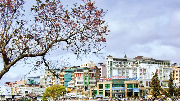 Ảnh trong bài: Hài hòa giữa bảo tồn và phát triển là bài toán cần cân nhắc thận trọng để Đà Lạt phát triển bền vững.