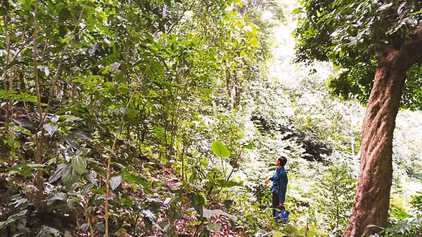 Đi tìm chỗ đặt bẫy chuột lang.