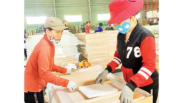 Sản xuất cánh tủ bếp và tủ nhà tắm tại Công ty gỗ Tiến Đạt. Ảnh: Mai Hương