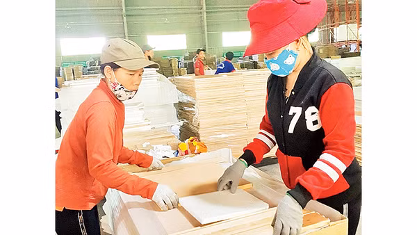 Sản xuất cánh tủ bếp và tủ nhà tắm tại Công ty gỗ Tiến Đạt. Ảnh: Mai Hương