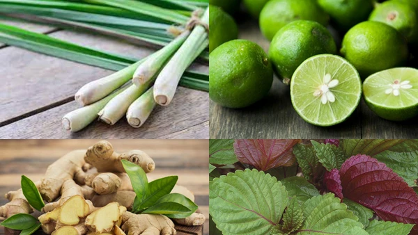 Nhiều nguyên liệu được người dân chọn để đun nước xông hơi. (Ảnh minh họa)