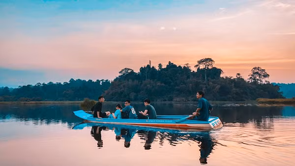 Ngắm cá sấu ở Bàu Sấu