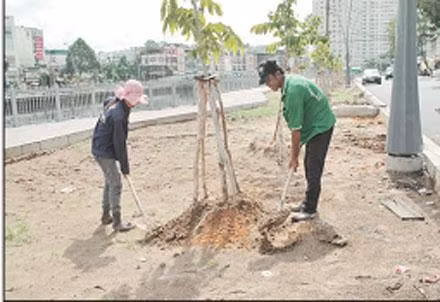Công nhân trồng cây xanh ven bờ kênh.