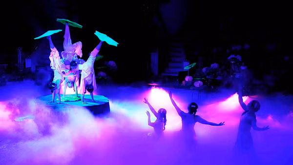 Sắc sen (tiết mục đạt giải nhất tại cuộc thi của Nhà hát Nghệ thuật Phương Nam). Ảnh: Thanh Hà