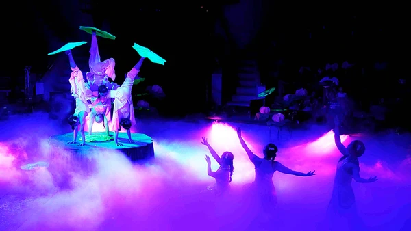 Sắc sen (tiết mục đạt giải nhất tại cuộc thi của Nhà hát Nghệ thuật Phương Nam). Ảnh: Thanh Hà