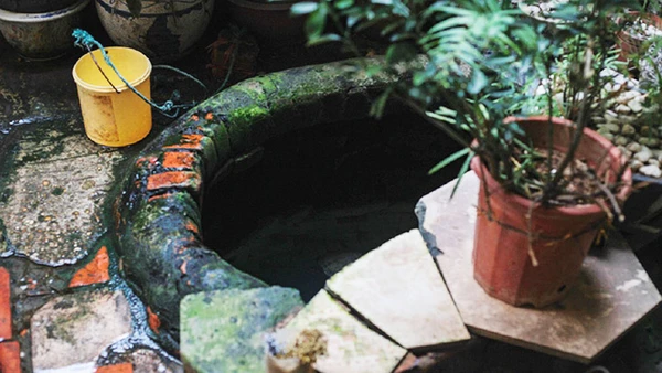 Một giếng cổ ở ngõ Tạm Thương, Hoàn Kiếm, Hà Nội.
