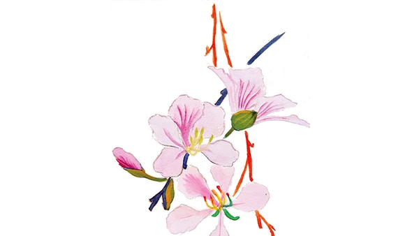 Người đi chẳng nói