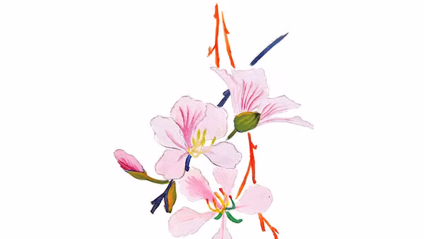 Người đi chẳng nói