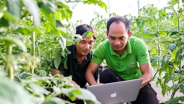 Giám đốc HTX Dịch vụ nông nghiệp Thủy canh Việt (TP Đà Lạt, Lâm Đồng) Nguyễn Đức Huy (bên phải) hướng dẫn người dân áp dụng hệ thống quản trị vườn qua máy tính. Ảnh: Mai Văn Bảo