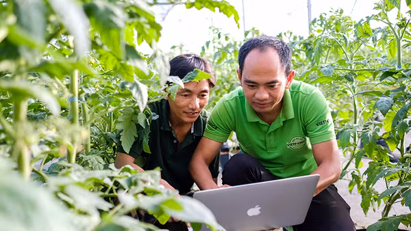 Giám đốc HTX Dịch vụ nông nghiệp Thủy canh Việt (TP Đà Lạt, Lâm Đồng) Nguyễn Đức Huy (bên phải) hướng dẫn người dân áp dụng hệ thống quản trị vườn qua máy tính. Ảnh: Mai Văn Bảo