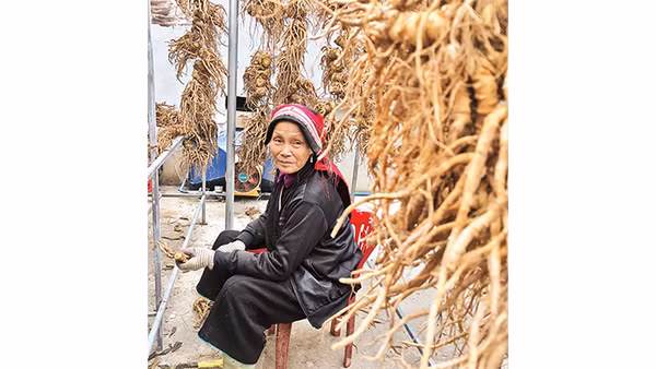 Một người phụ nữ trong xưởng HTX cộng đồng.