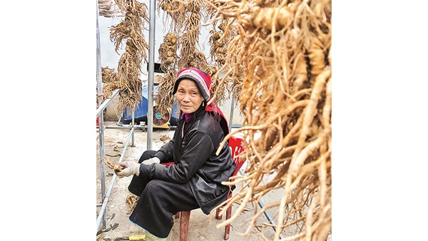 Một người phụ nữ trong xưởng HTX cộng đồng.