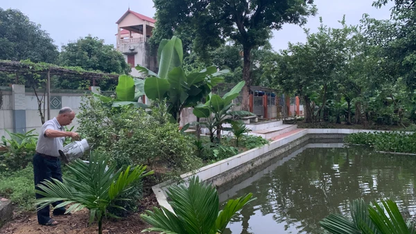 Hằng ngày, cựu chiến binh Đặng Đình Thuận đều tranh thủ thời gian rảnh rỗi để chăm sóc vườn rau.