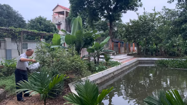 Hằng ngày, cựu chiến binh Đặng Đình Thuận đều tranh thủ thời gian rảnh rỗi để chăm sóc vườn rau.