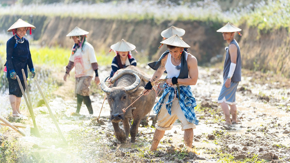 Các nghệ sĩ trong một buổi cày ruộng. haha3.jpg