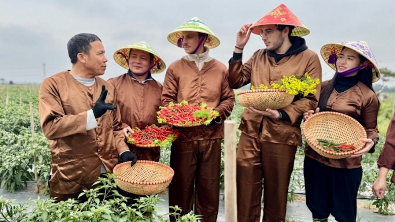 Khách du lịch tham gia hoạt động trải nghiệm nông nghiệp tại Đa Phúc.