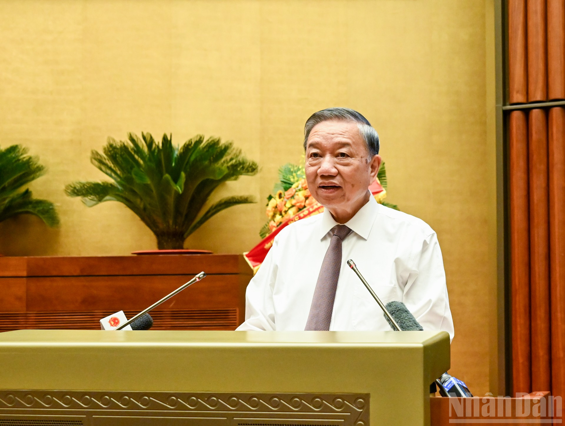 Tổng Bí thư Tô Lâm phát biểu chỉ đạo hội nghị. ndo_br_12-2029.jpg
