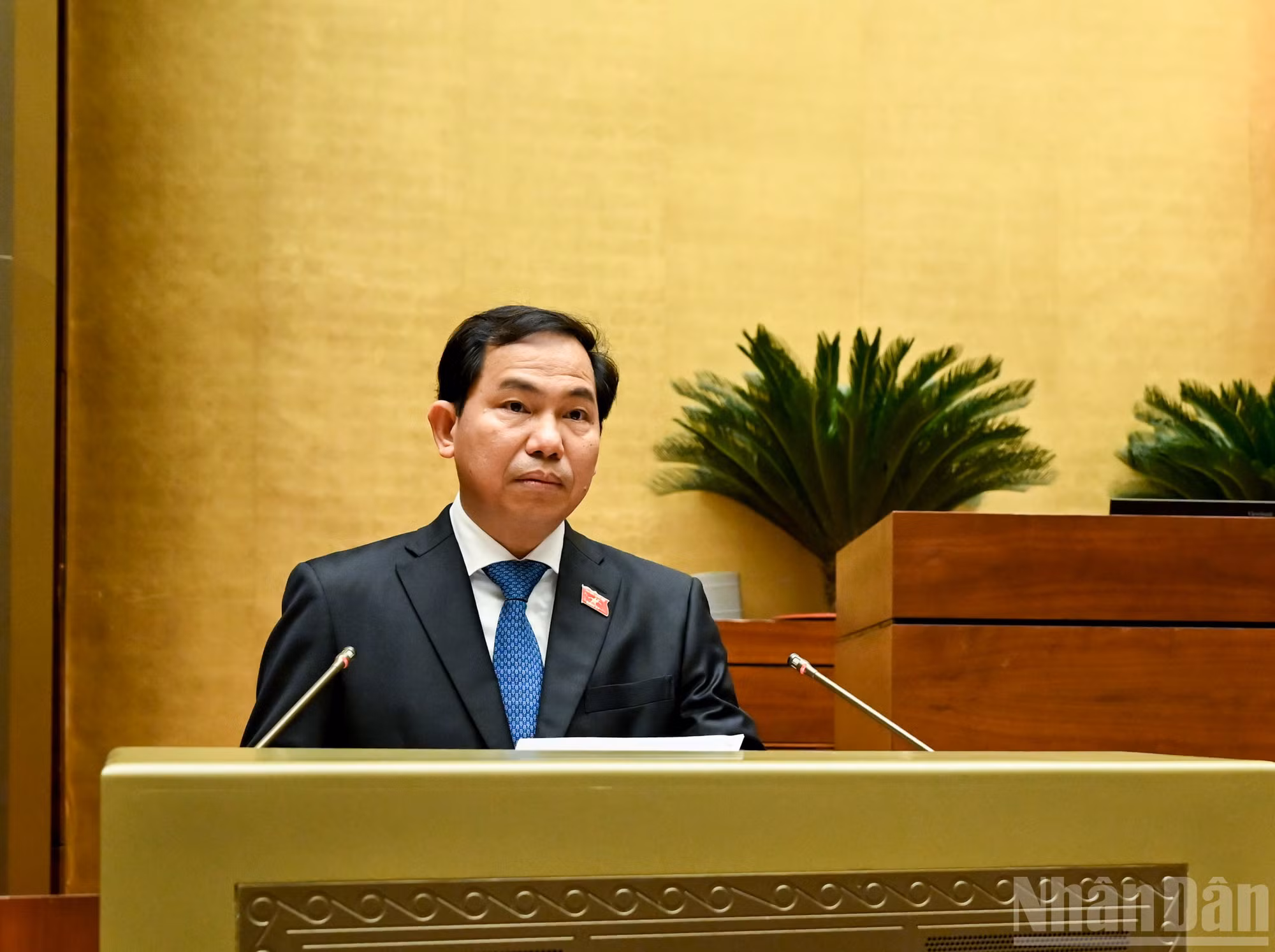 ndo_br_bnd-5369.jpg