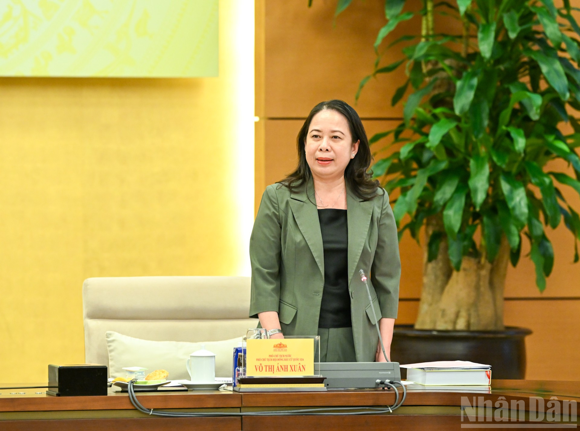 Phó Chủ tịch nước Võ Thị Ánh Xuân phát biểu tại phiên họp. ndo_br_bnd-2345.jpg