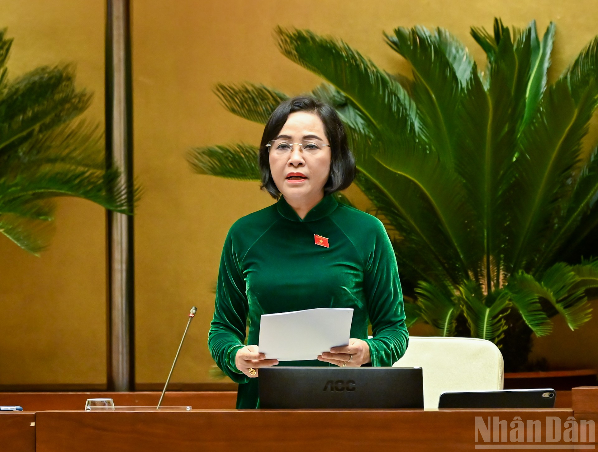 قومی اسمبلی کی وائس چیئر مین Nguyen Thi Thanh نے ثقافتی اور سماجی شعبوں پر بحث کے سیشن کی صدارت کی۔ ndo_br_pho-ctqh-nguyen-thi-thanh.jpg