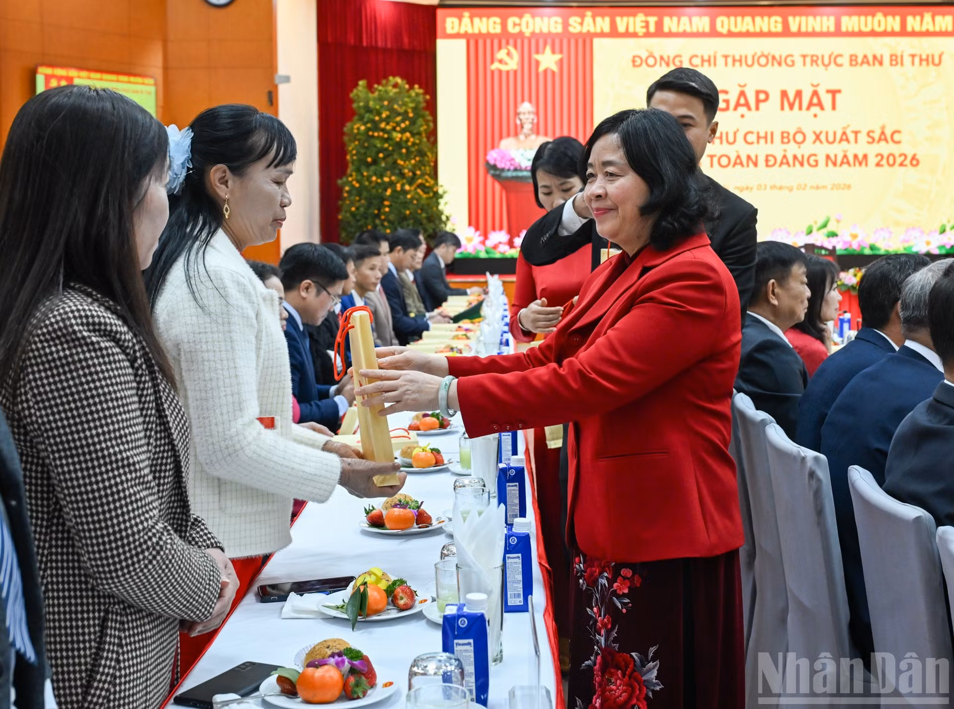 ndo_br_bnd-4229.jpg