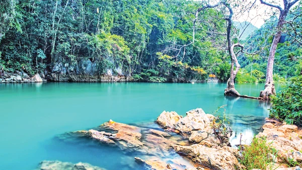 Suối Lê Nin, Pác Bó, xã Trường Hà (mới), tỉnh Cao Bằng.