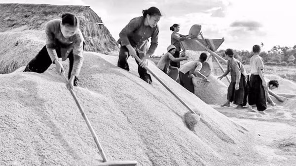 Những cô gái ba đảm đang quạt thóc vàng gửi ra tiền tuyến ở Vũ Thư, Thái Bình, năm 1967. (Ảnh: Mầu Hoàng Thiết)