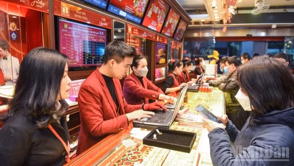 Ảnh: THÀNH ĐẠT