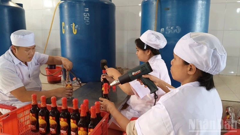 Làng mắm Cà Ná hối hả vào Tết nhưng lo ngại sức mua giảm