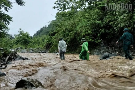Khi mưa xuống, đường lên điểm khai thác vàng thành dòng suối lớn với nguy cơ lũ quét rất cao.