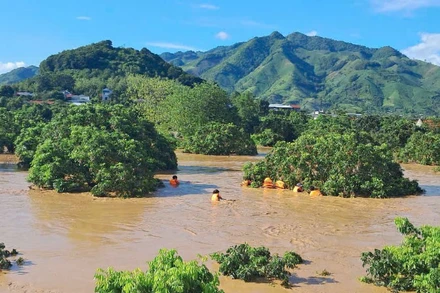Cảnh sát phòng cháy, chữa cháy và cứu nạn cứu hộ triển khai phương án cứu nạn thành công 6 người mắc kẹt giữa dòng lũ dữ.