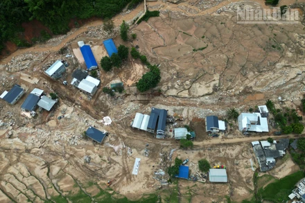 Mưa lũ tại Sơn La đã gây thiệt hại 1.183 nhà, trong đó 42 nhà bị sập đổ cuốn trôi hoàn toàn; 137 nhà phải di dời khẩn cấp; 90 nhà hư hỏng; 142 nhà ở khu vực có nguy cơ sạt lở cao và 772 nhà bị ngập úng.