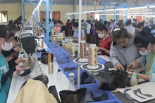 Nhiều lao động nữ người dân tộc tại các xã vùng khó khăn của Sơn La đã được đào tạo nghề may.